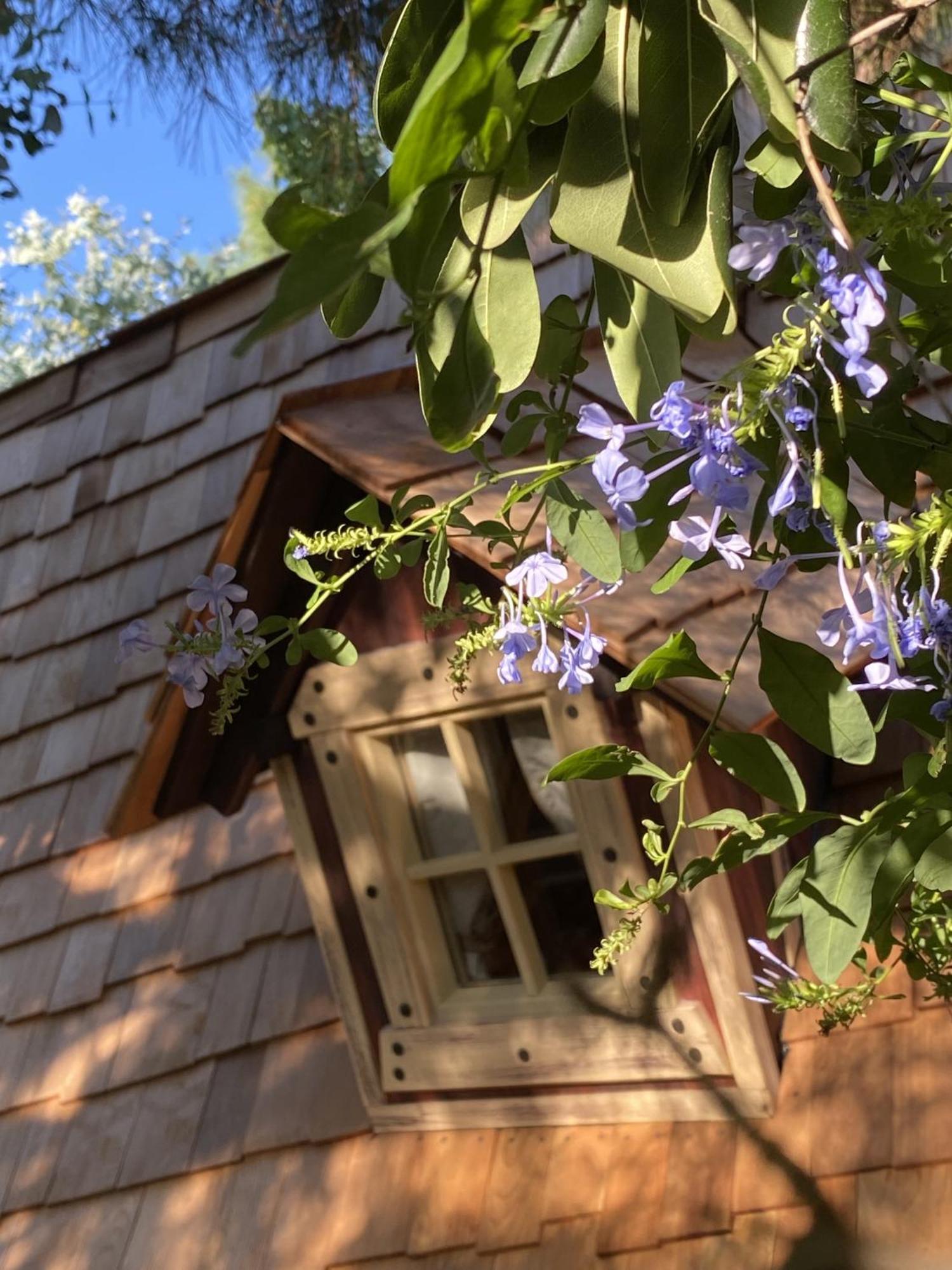 Villelongue-dels-Monts Mas Del Flor B&B 객실 사진