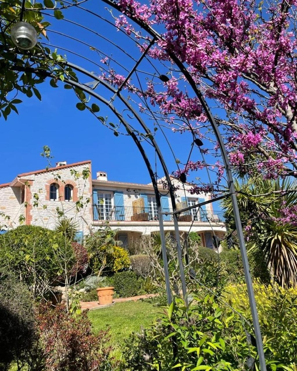 Villelongue-dels-Monts Mas Del Flor B&B 외부 사진